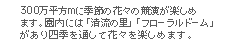 花の都公園